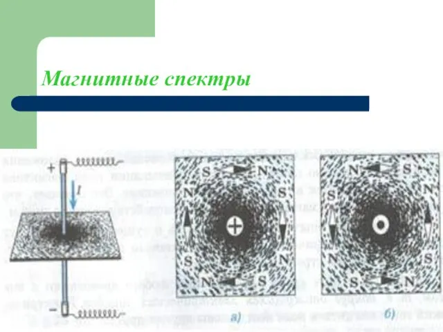 Магнитные спектры