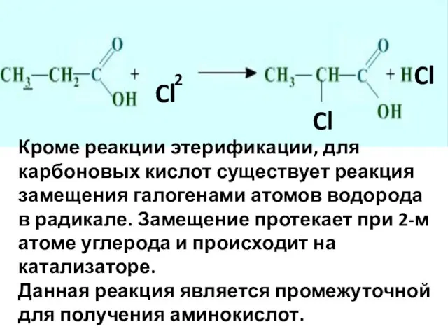 Cl Cl Cl 2 Кроме реакции этерификации, для карбоновых кислот существует реакция