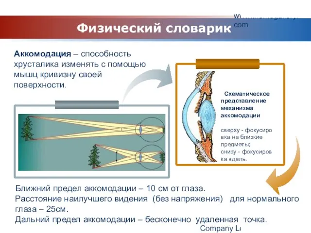 www.themegallery.com Company Logo Физический словарик Аккомодация – способность хрусталика изменять с помощью