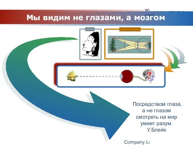 www.themegallery.com Company Logo Таможня Посредством глаза, а не глазом смотреть на мир