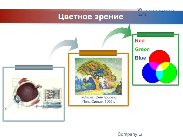 www.themegallery.com Company Logo Red Green Blue Цветное зрение «Сосна, Сен-Тропе», Поль Синьяк 1909 г.