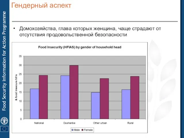 Гендерный аспект Домохозяйства, глава которых женщина, чаще страдают от отсутствия продовольственной безопасности