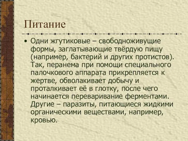 Питание Одни жгутиковые – свободноживущие формы, заглатывающие твёрдую пищу (например, бактерий и