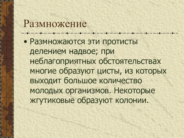 Размножение Размножаются эти протисты делением надвое; при неблагоприятных обстоятельствах многие образуют цисты,