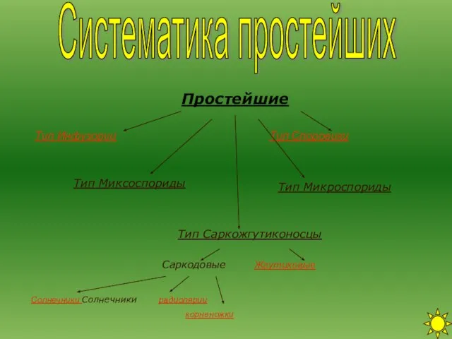 Систематика простейших Тип Споровики