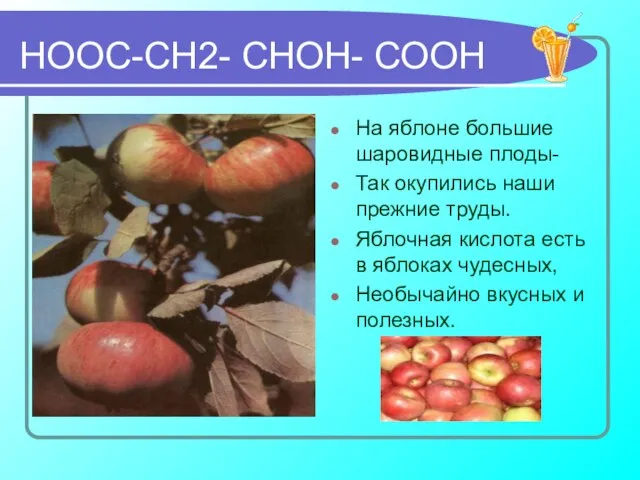 НООС-СН2- СНОН- СООН На яблоне большие шаровидные плоды- Так окупились наши прежние