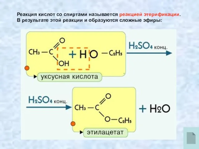 Реакция кислот со спиртами называется реакцией этерификации. В результате этой реакции и образуются сложные эфиры: