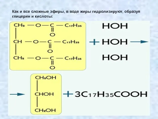 Как и все сложные эфиры, в воде жиры гидролизируют, образуя глицерин и кислоты: