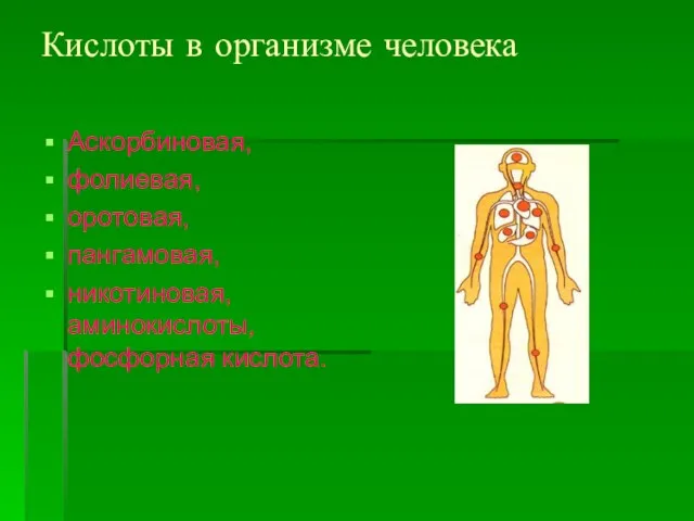 Кислоты в организме человека Аскорбиновая, фолиевая, оротовая, пангамовая, никотиновая, аминокислоты, фосфорная кислота.