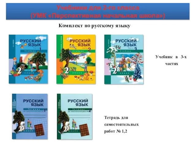 Комплект по русскому языку Тетрадь для самостоятельных работ № 1,2 Учебник в