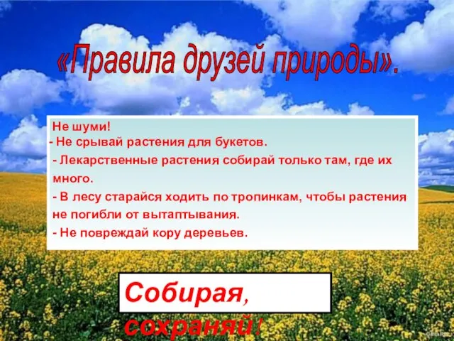 Не шуми! Не срывай растения для букетов. - Лекарственные растения собирай только