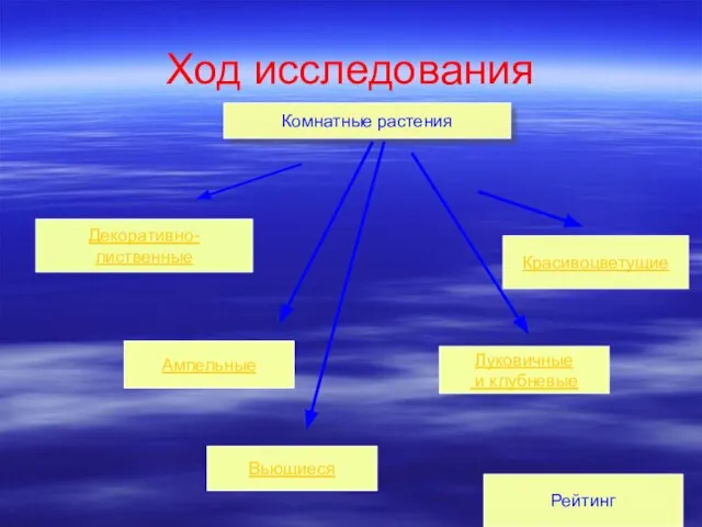 Ход исследования Комнатные растения Декоративно-лиственные Рейтинг Ампельные Вьющиеся Луковичные и клубневые Рейтинг Красивоцветущие