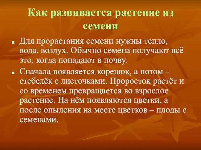 Как развивается растение из семени Для прорастания семени нужны тепло, вода, воздух.