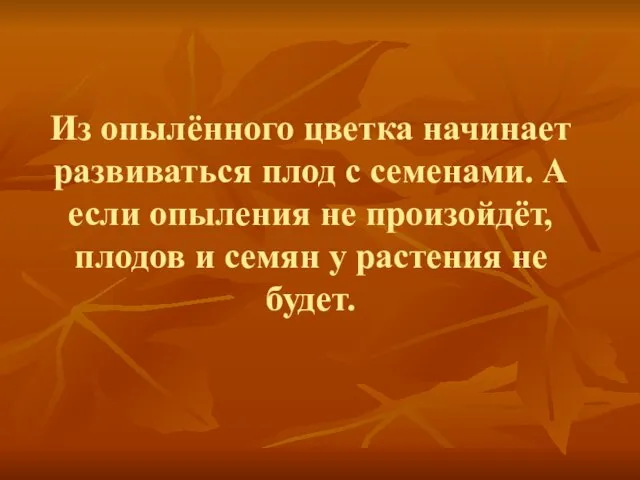 Из опылённого цветка начинает развиваться плод с семенами. А если опыления не