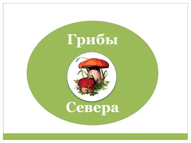 Грибы Севера