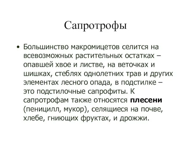 Сапротрофы Большинство макромицетов селится на всевозможных растительных остатках – опавшей хвое и