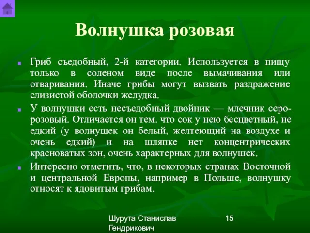 Шурута Станислав Гендрикович Волнушка розовая Гриб съедобный, 2-й категории. Используется в пищу