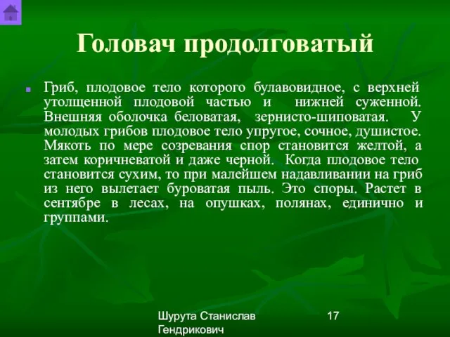 Шурута Станислав Гендрикович Головач продолговатый Гриб, плодовое тело которого булавовидное, с верхней