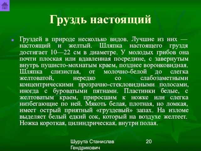 Шурута Станислав Гендрикович Груздь настоящий Груздей в природе несколько видов. Лучшие из