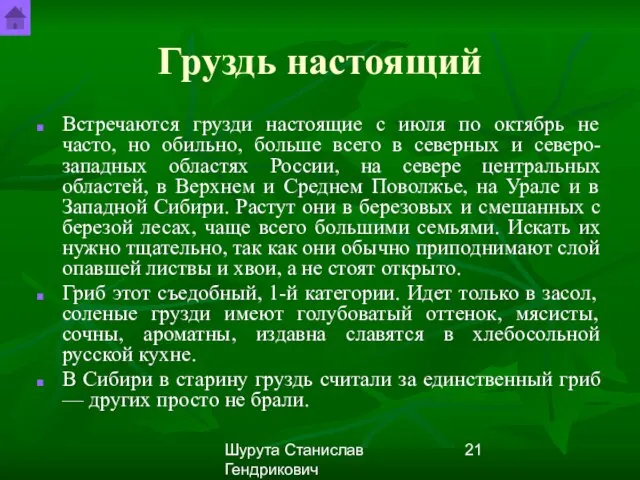 Шурута Станислав Гендрикович Груздь настоящий Встречаются грузди настоящие с июля по октябрь