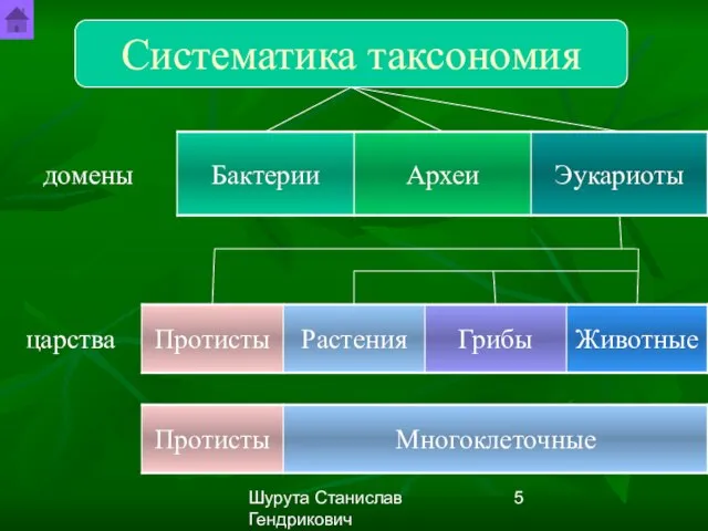 Шурута Станислав Гендрикович