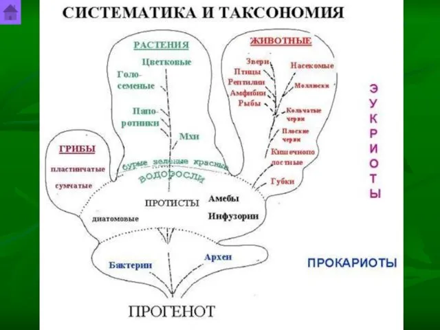 Шурута Станислав Гендрикович