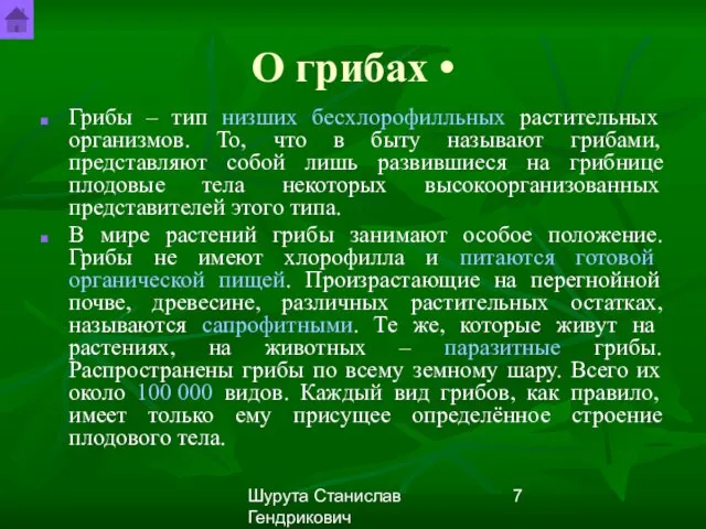 Шурута Станислав Гендрикович О грибах • Грибы – тип низших бесхлорофилльных растительных