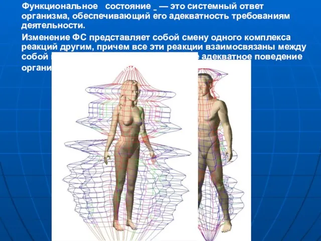 Функциональное состояние — это системный ответ организма, обеспечивающий его адекватность требованиям деятельности.