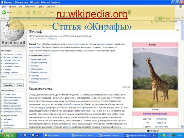 ru.wikipedia.org Статья «Жирафы»