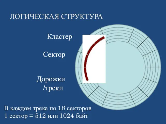 ЛОГИЧЕСКАЯ СТРУКТУРА Дорожки /треки Сектор Кластер В каждом треке по 18 секторов