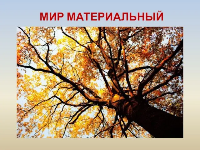 МИР МАТЕРИАЛЬНЫЙ