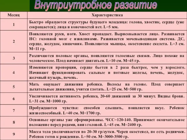 Внутриутробное развитие