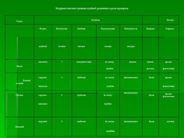 Морфологические признаки клубней различных сортов картофеля