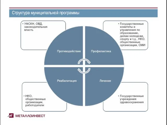 Структура муниципальной программы