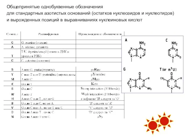 Общепринятые однобуквенные обозначения для стандартных азотистых оснований (остатков нуклеозидов и нуклеотидов) и