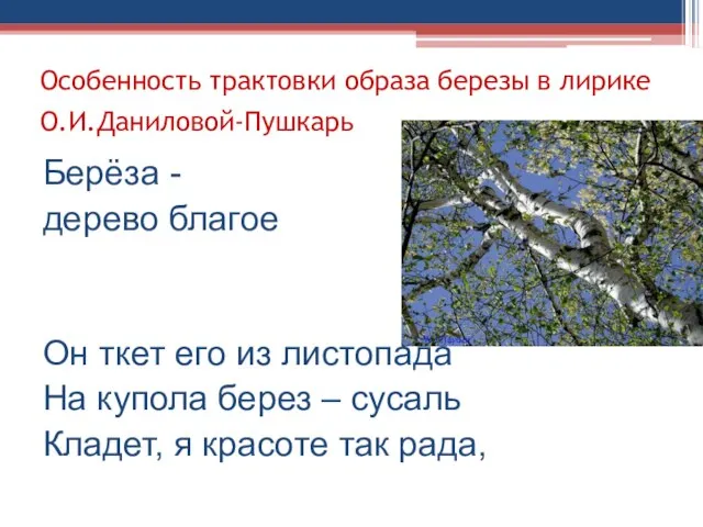 Особенность трактовки образа березы в лирике О.И.Даниловой-Пушкарь Берёза - дерево благое Он