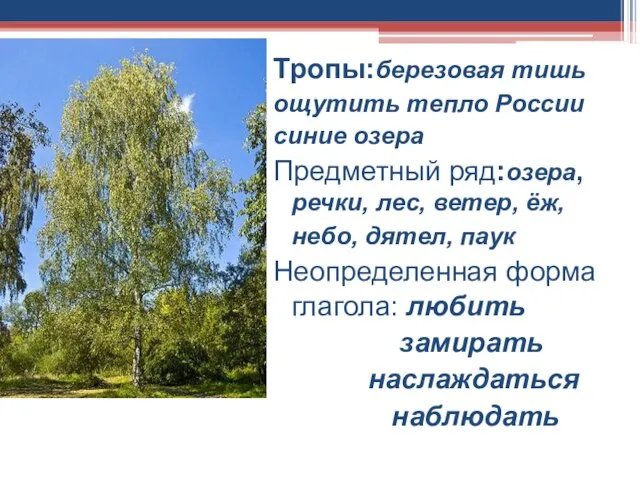 Тропы:березовая тишь ощутить тепло России синие озера Предметный ряд:озера, речки, лес, ветер,