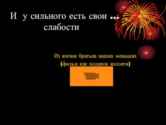 И у сильного есть свои … слабости Из жизни братьев наших меньших (фильм как подарок коллеги)