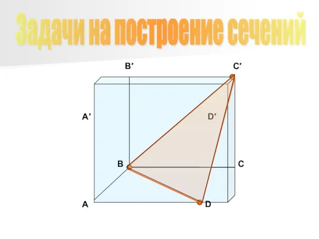 B′ C′ D′ A′ A B C D Задачи на построение сечений