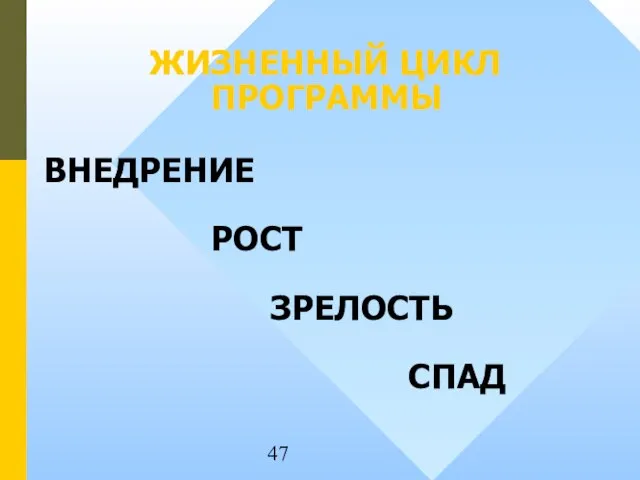 ЖИЗНЕННЫЙ ЦИКЛ ПРОГРАММЫ ВНЕДРЕНИЕ РОСТ ЗРЕЛОСТЬ СПАД