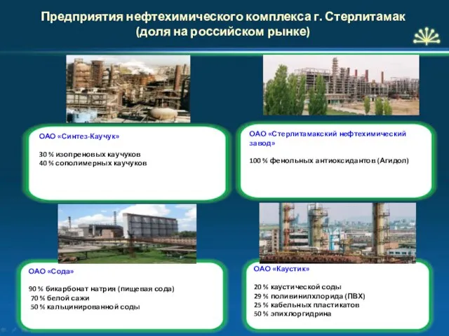 Предприятия нефтехимического комплекса г. Стерлитамак (доля на российском рынке)