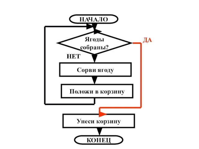 НАЧАЛО Ягоды собраны? Сорви ягоду Положи в корзину Унеси корзину КОНЕЦ ДА ДА НЕТ НЕТ НЕТ