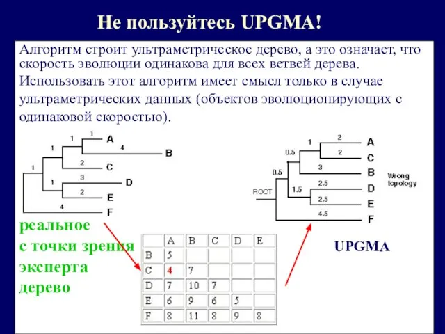 Не пользуйтесь UPGMA! Алгоритм строит ультраметрическое дерево, а это означает, что скорость