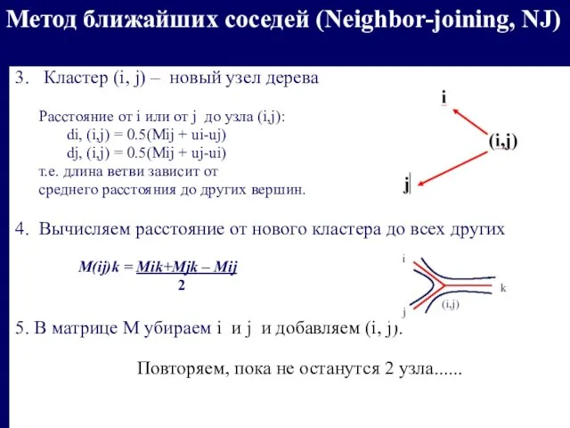 Метод ближайших соседей (Neighbor-joining, NJ) 3. Кластер (i, j) – новый узел
