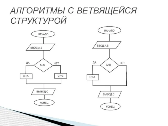 АЛГОРИТМЫ С ВЕТВЯЩЕЙСЯ СТРУКТУРОЙ