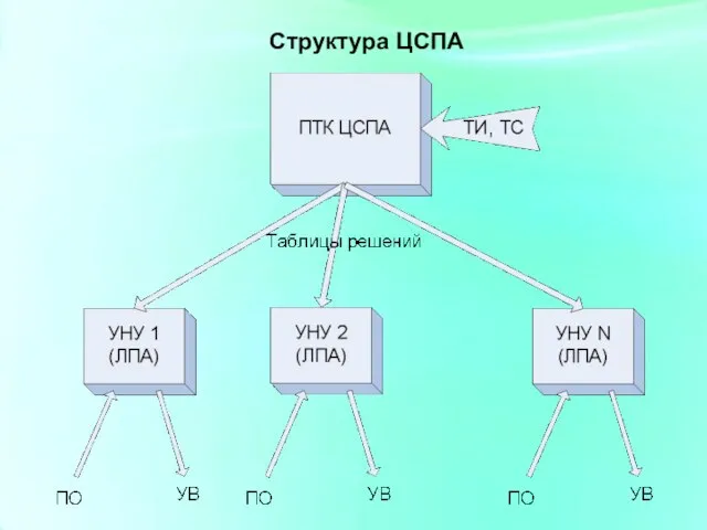 Структура ЦСПА