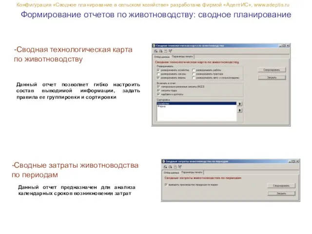Формирование отчетов по животноводству: сводное планирование Конфигурация «Сводное планирование в сельском хозяйстве»
