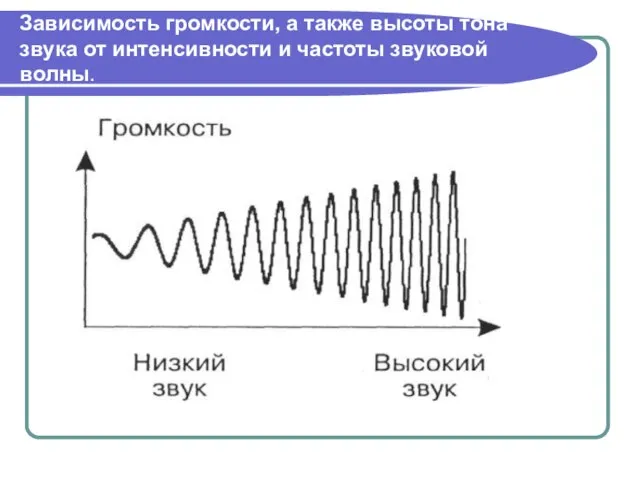 Зависимость громкости, а также высоты тона звука от интенсивности и частоты звуковой волны.