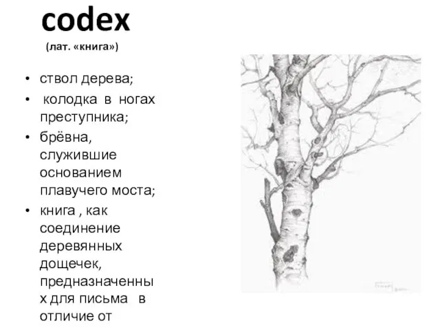 codex codex (лат. «книга») ствол дерева; колодка в ногах преступника; брёвна, служившие