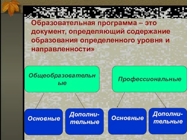 Образовательная программа – это документ, определяющий содержание образования определенного уровня и направленности»